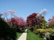 Spring!