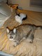 TC and Casey on the bed