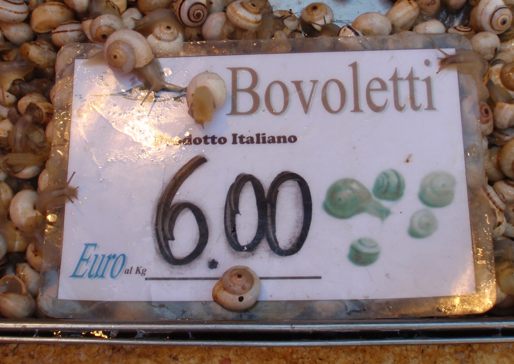 Snails