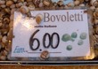 Snails