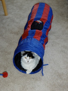 Casey in her tube