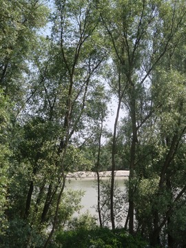 We see the Po river