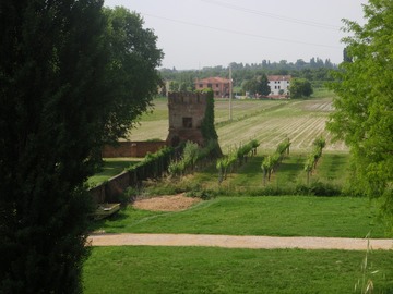 Tower near Polesella