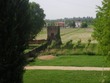 Tower near Polesella