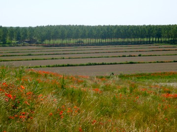 Po coutryside