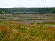 Po countryside