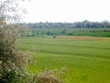 Man working the field south of Volano