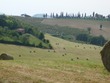 Dozza landscape