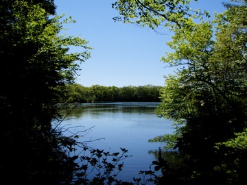 Lake in Breakheart Reservation in Saugus