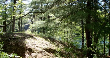 Breakheart Reservation in Saugus