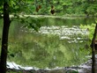 Stiles Pond, Boxford