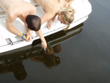 Ross & Jessica feed the turtle