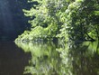 Assabet impressionism 1