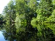 Assabet impressionism 2