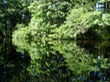 Assabet impressionism 3