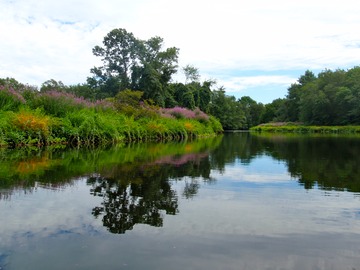 Scenery on the Charles