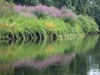 Scenery on the Charles
