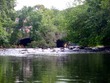 Rapids at the end of the line