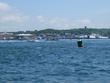 Woods Hole