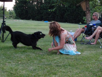 Dogzilla goes wild