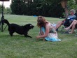 Dogzilla goes wild