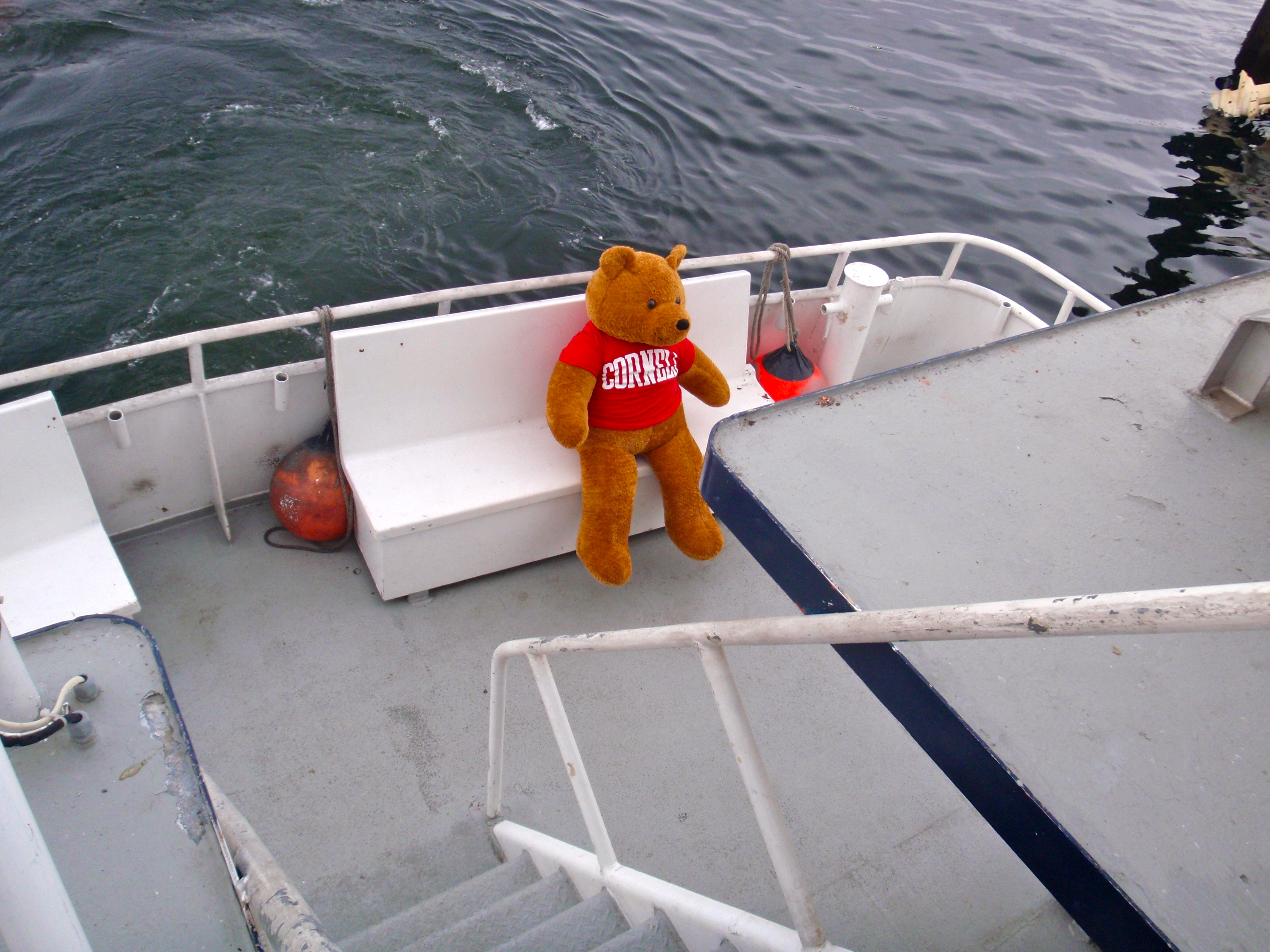 Big Red Bear on the Hurricane II