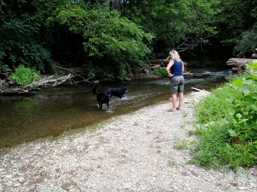 Lisa watches Zilla and Mojo in the creek