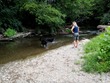Lisa watches Zilla and Mojo in the creek