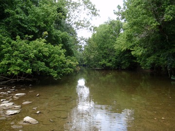 The creek
