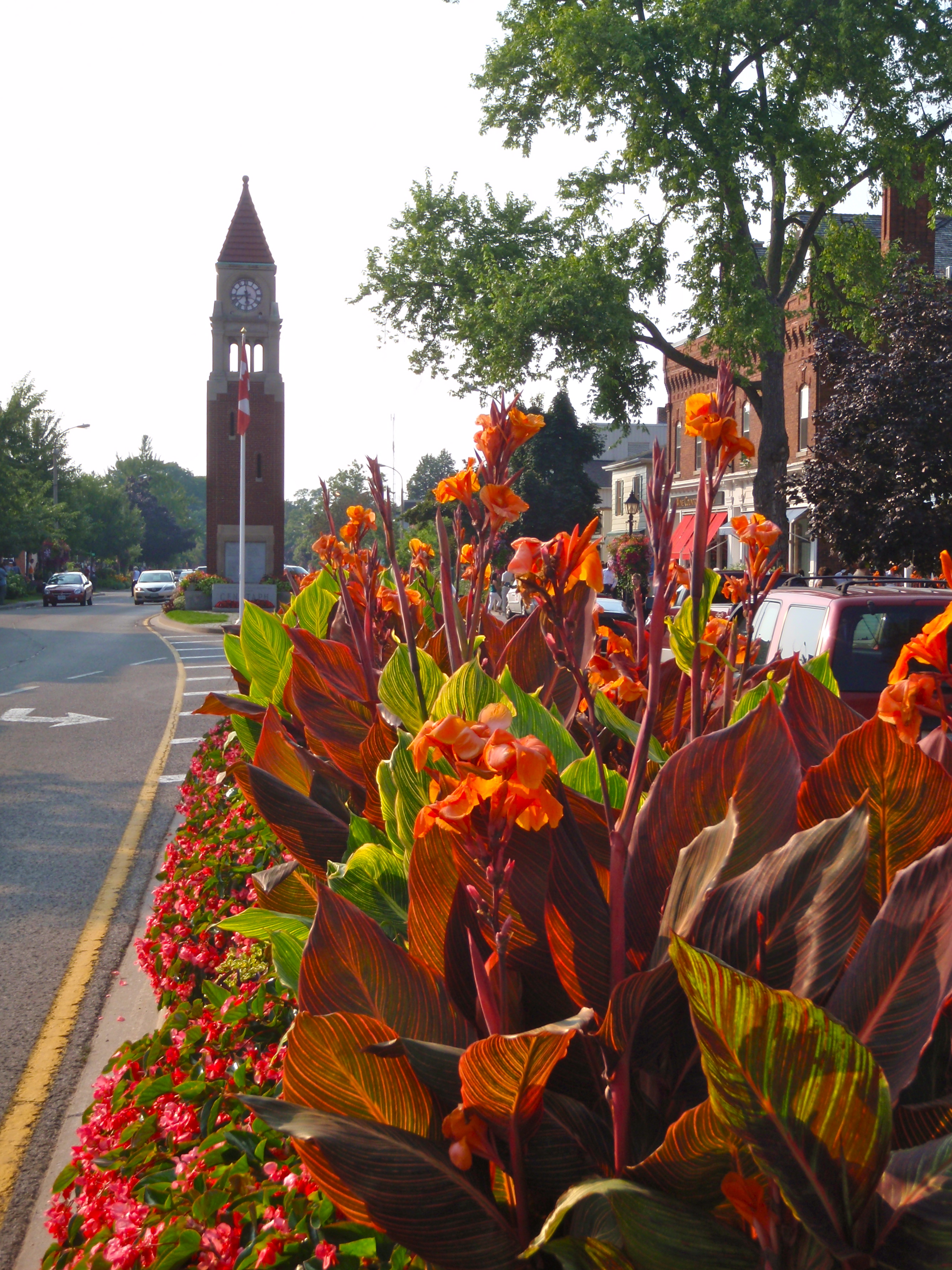 Queen St in NotL