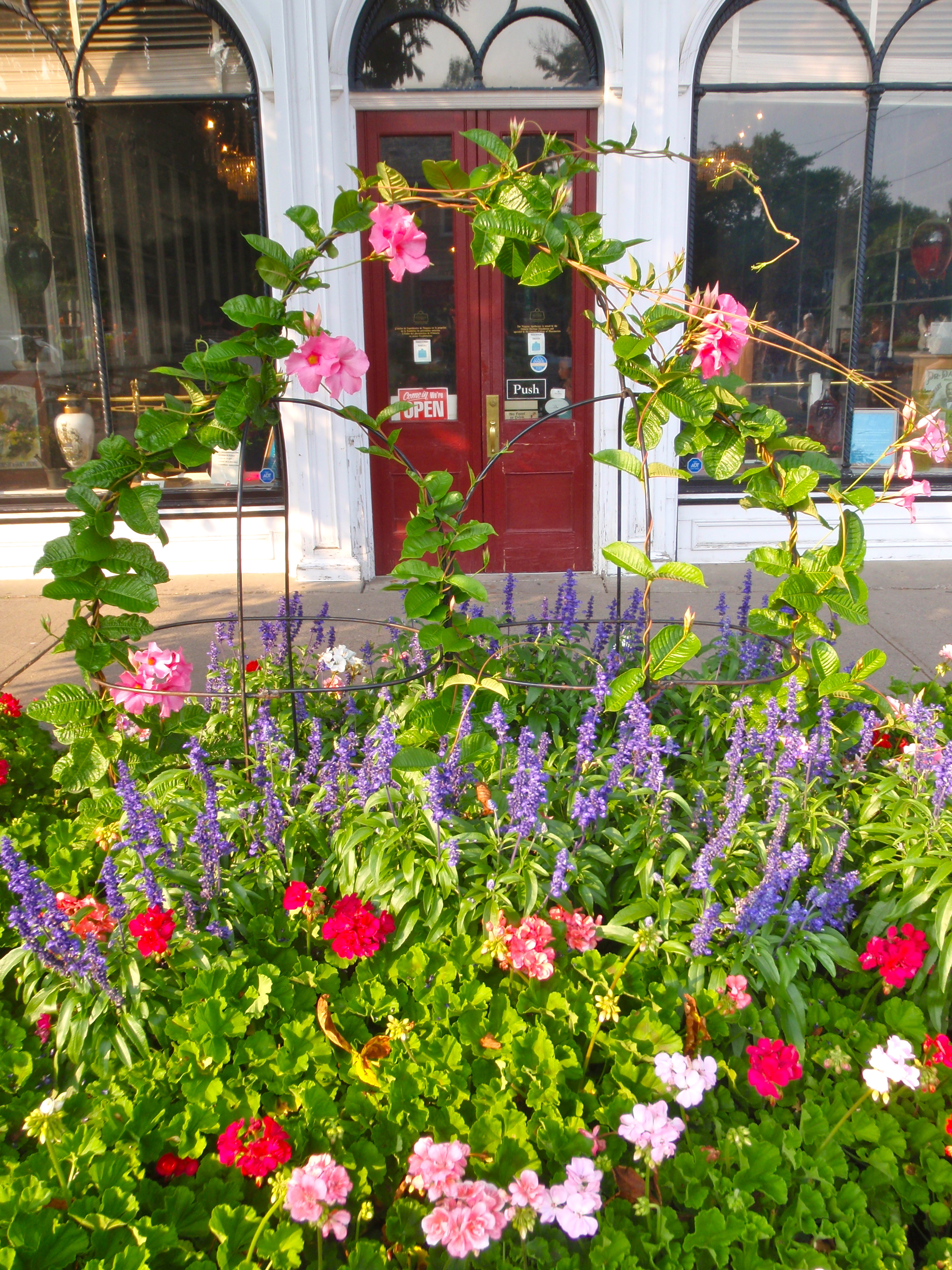 Flowers in NotL
