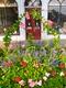 Flowers in NotL