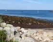 Fishing boat & sailboat in Loblolly bay