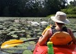 Kathy and swan family