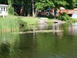 Pillings Pond