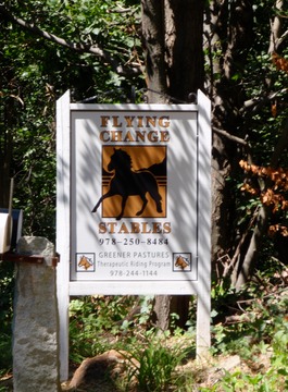 Flying Change Stables