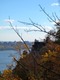 Palisades 2