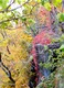 Palisades 3
