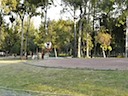 Clip 6
