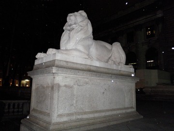 Library Lion