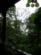 Jungle at the end of the ride