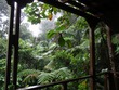 Jungle at the end of the ride
