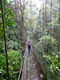 Hanging bridge on the way yo Fortuna Falls