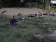 Kathy goes for a dip