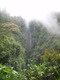 Other falls near Fortuna Falls