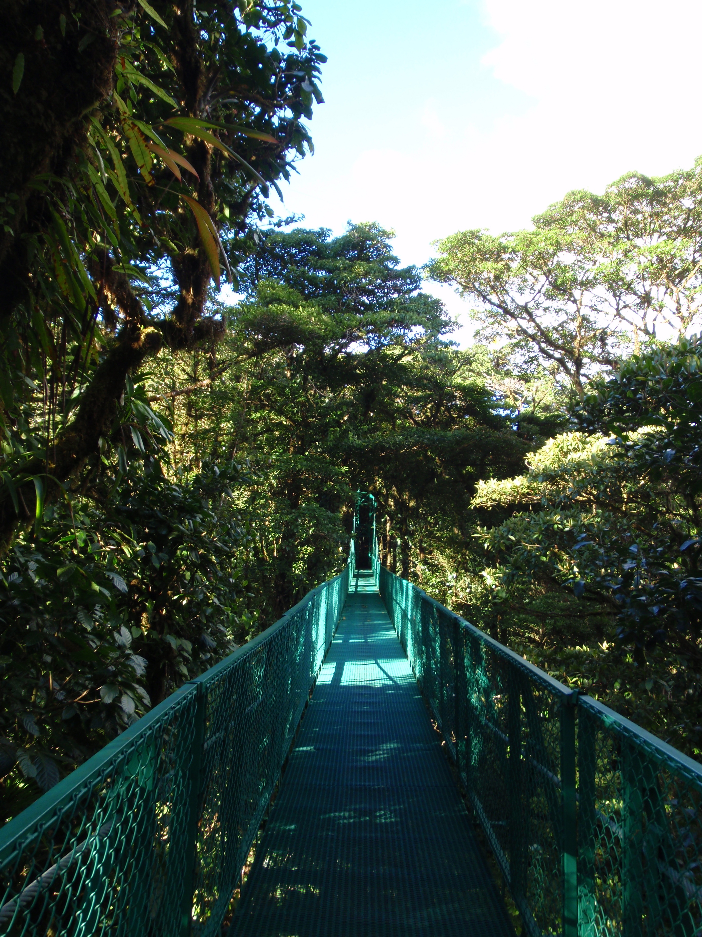 Hanging bridge