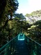 Hanging bridge