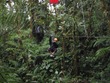 Ross on zipline