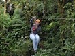 Ziplines in Monteverde