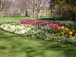 London Flowers